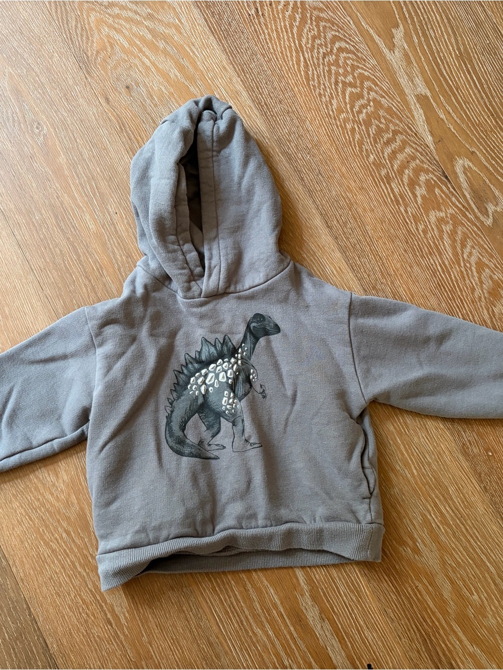 Gray Dino hoodie 2T